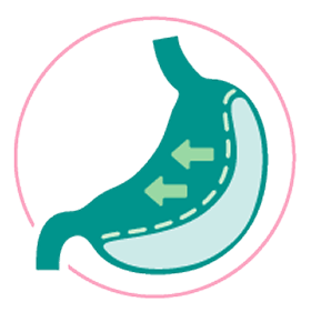 Stomach icon