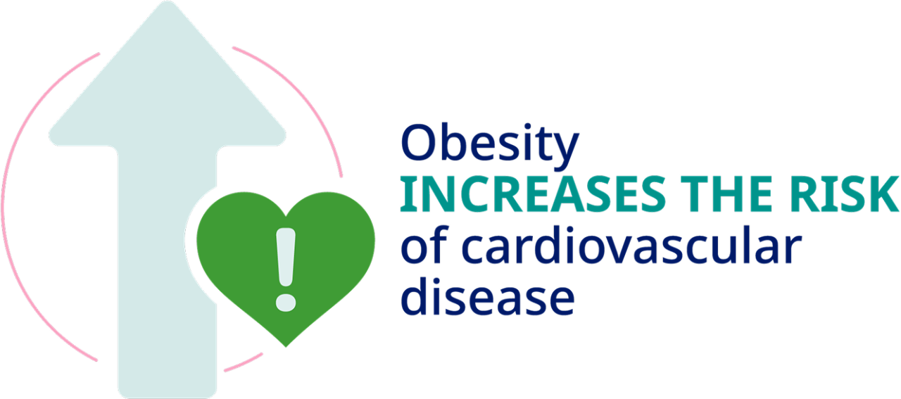 Obesity increases the risk of cardiovascular disease
